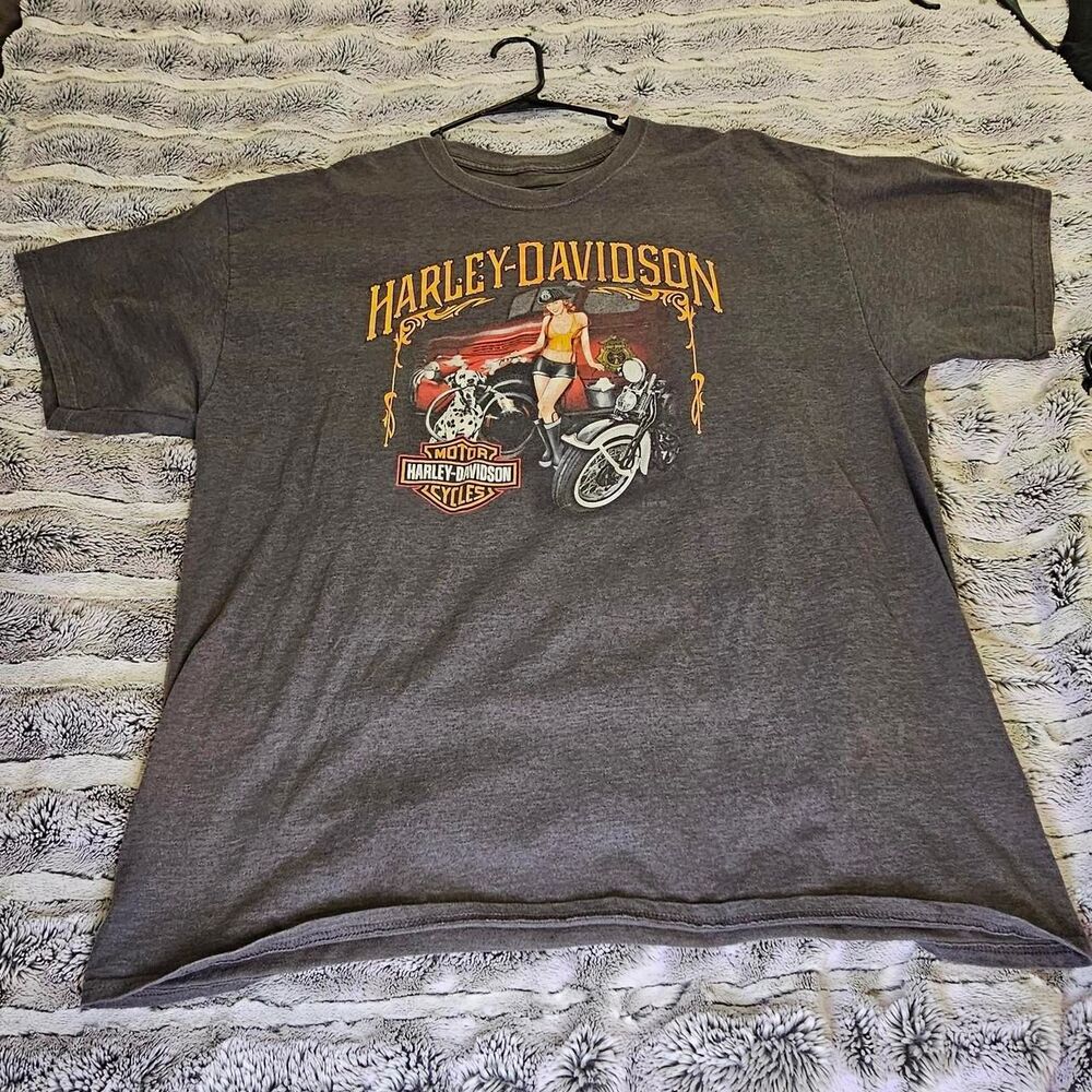 Harley-davidson Men's Grey T-shirt